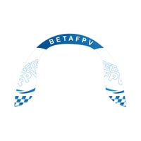 BETAFPV arch goal