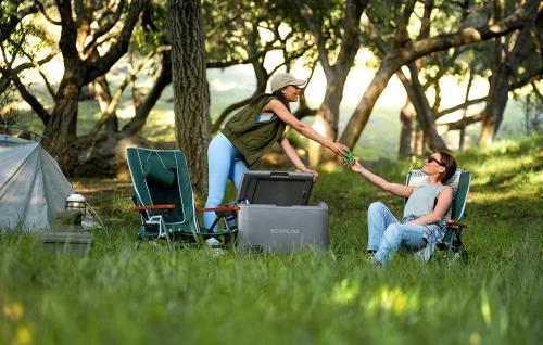 Set: EcoFlow Glacier 55L Portable Refrigerator + 298Wh Battery