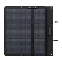 Przenośny panel fotowoltaiczny EcoFlow 220W